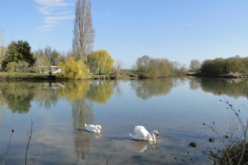 Gite La Garauderie Vila L'Ile-d'Elle Exterior foto